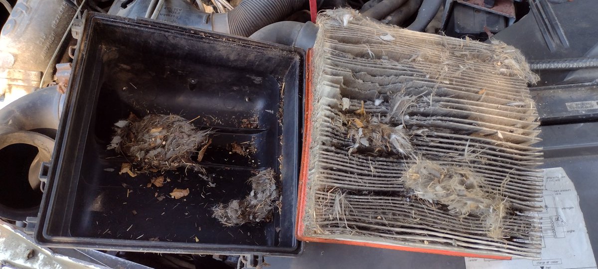 Note:  When rescuing a car from a field, check the air filter before taking it for a good hard run, regardless of how much of a PITA it is to get to.  #MechanicTips #carrepair