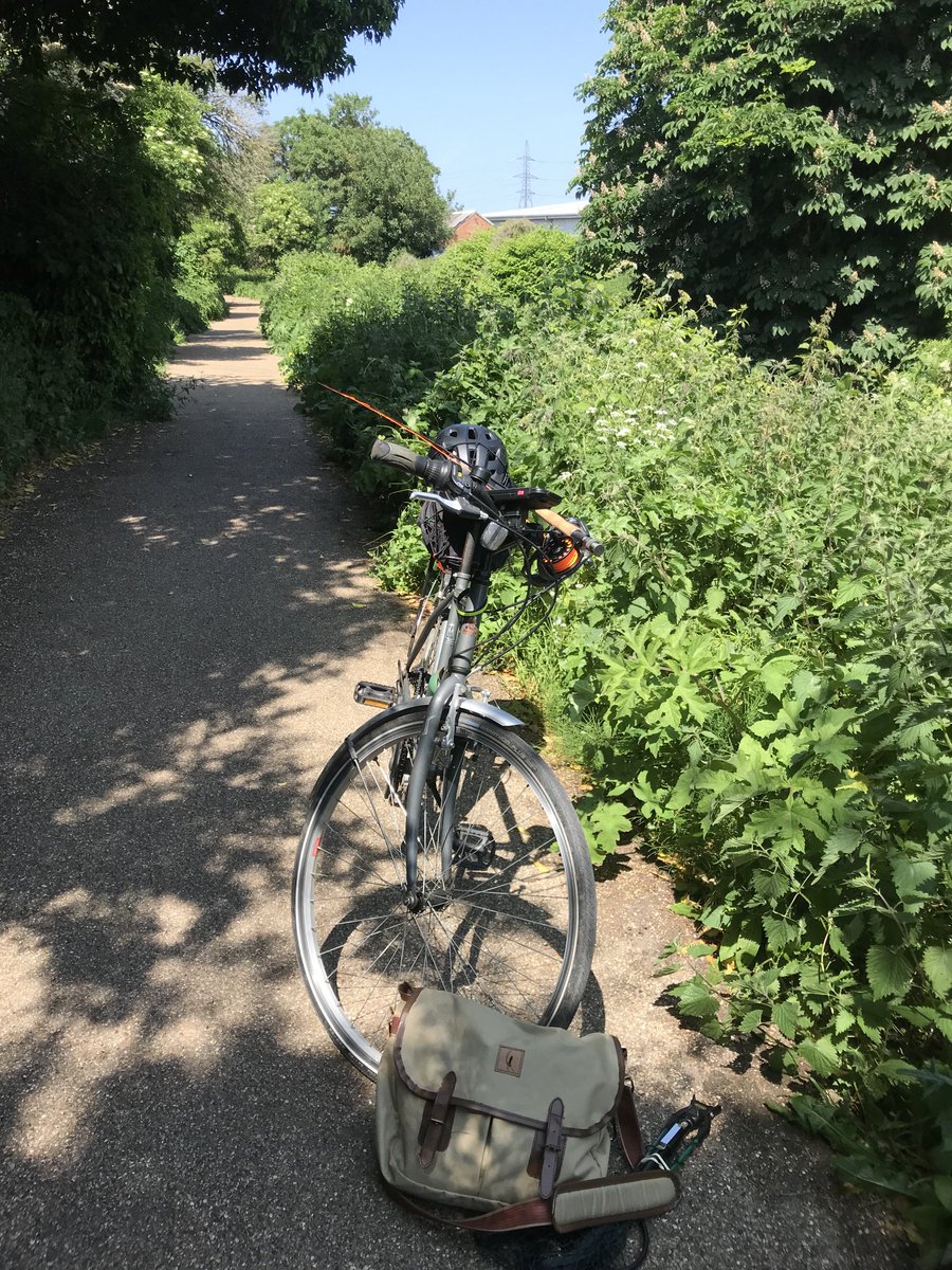 RifflePool's tweet image. Trout hunting the River. Wandle by bicycle.