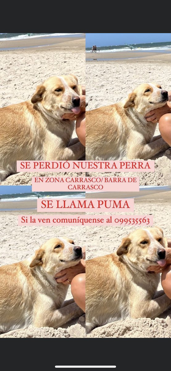 Adriana43587622's tweet photo. https://t.co/rCiBndhwvD