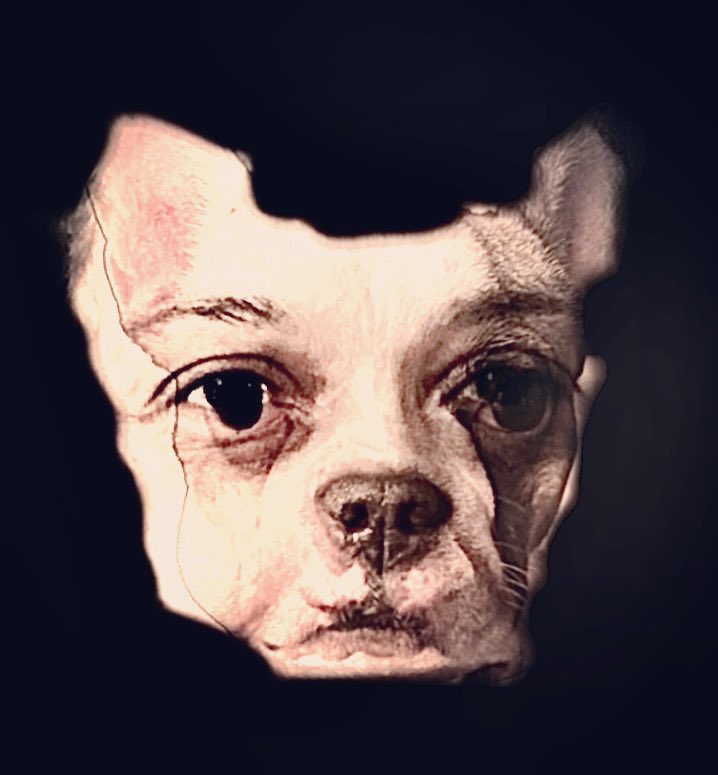 Nayantara and Bella #hybrid #portrait #humanimals #intimacy #closeness