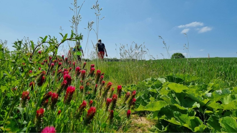 companyofrunner's tweet photo. Beautiful day for group run recce of Stour Valley Half- Dragon Loop. Entries open for race till 9 June https://t.co/sk4ESdSyDM https://t.co/CF7Wuyctvb