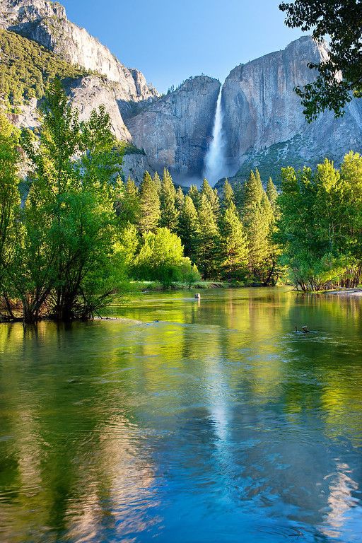RT @nature_moments9: Yosemite National Park https://t.co/mrAW8gssHd