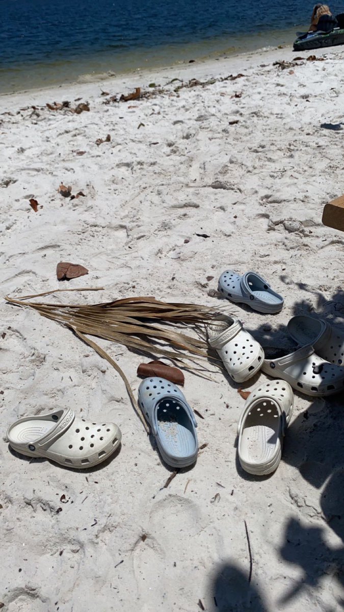 ElleG811's tweet photo. and here we have a family of wild crocs https://t.co/keFUY7Ul8X