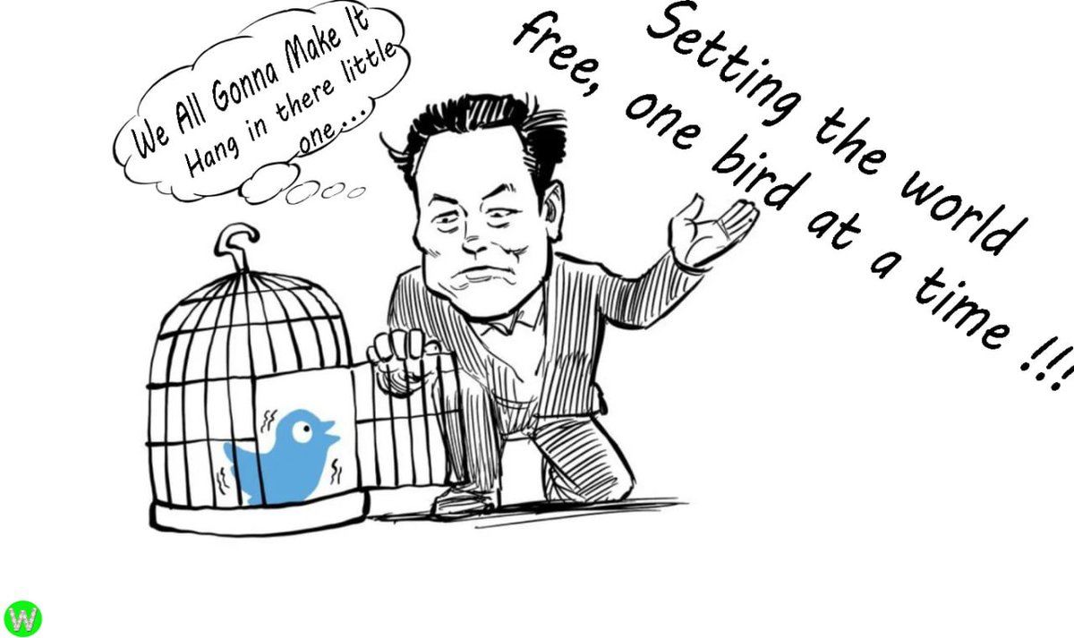 <a href="/cb_doge/">DogeDesigner</a> When <a href="/elonmusk/">Elon Musk</a> has a plan, wagmi!