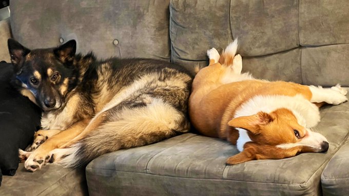 lol they're touching butts https://t.co/UVOFrru7I8<a href="/tag/bangbus"class="tags"><span>#bangbus</span></a>