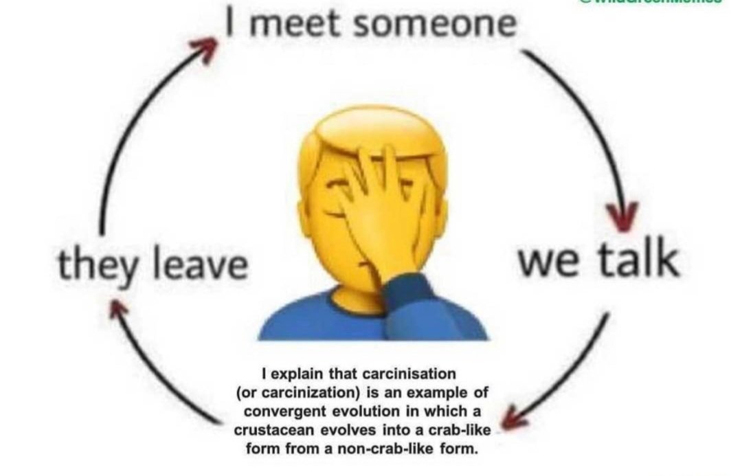 crypto_coz26's tweet image. #itsscience