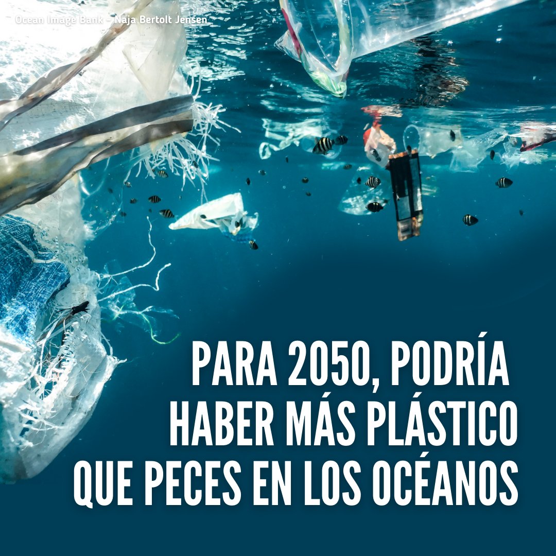 El plástico representa el 85% del total de los desechos que van a parar a los océanos. Sin medidas urgentes, la cantidad de plástico en los mares se triplicará en los próximos 20 años. #ActúaAhora para poner fin a la #ContaminaciónPorPlásticos: un.org/es/actnow