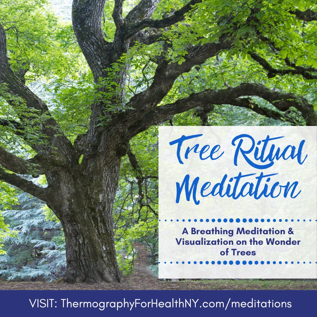 Trees have messages that hold ancient truths for us all.

Download this meditation (and others!) Link in bio

#thermforhealth
#thermographynyc
#healthymindbodyspirit
#meditationforhealth
#treeritualmeditation