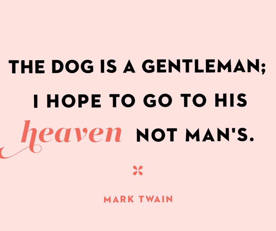 May we all be as good as our dogs. 
#GoodBoy
#SaturdaySmiles #DogQuotes