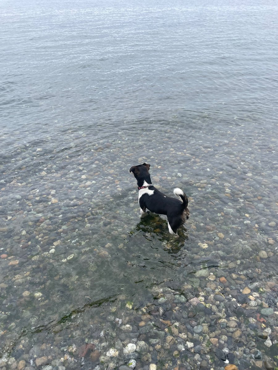 Mornings are for Marked Men and seafaring babes