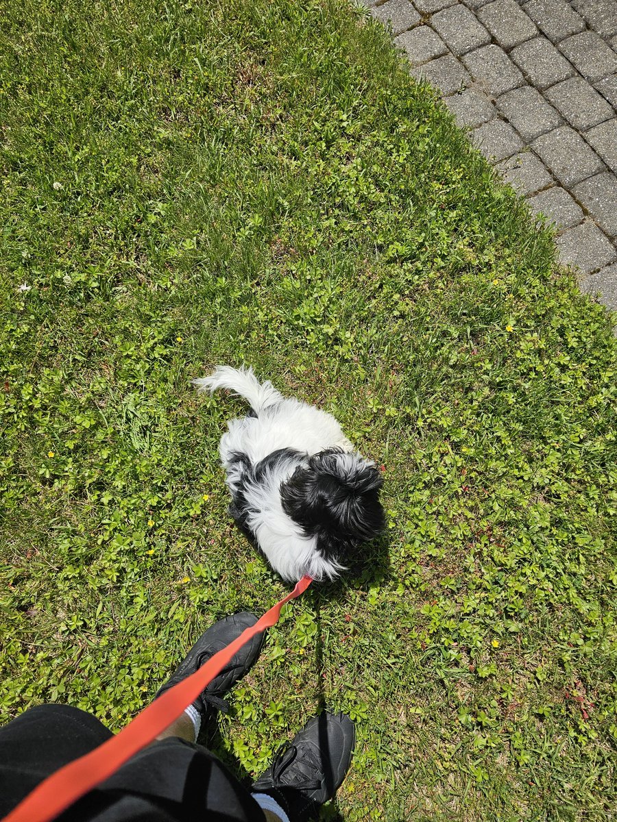Lyer On Twitter She Went Outside For The First Time Today 