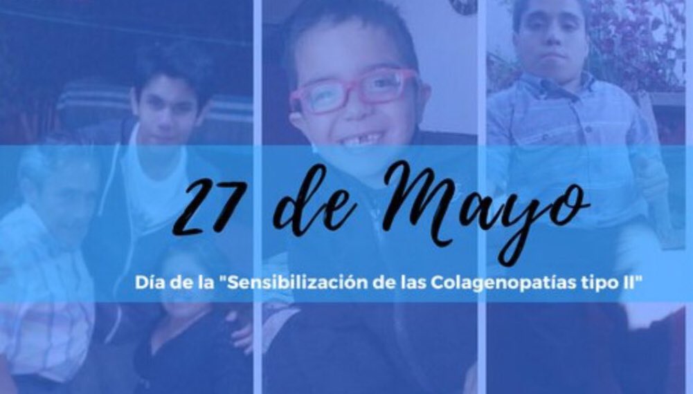 NoInvisibles's tweet photo. Hoy concienciación #ColagenopatíasTipoII
Conocer más y mejor #COL2A1
Diversas condiciones debidas a esta mutación
#Stickler #SEDC #Strudwick #Kniest
#Perthes #Stanescu
Conocer, visibilizar e investigar
Es el camino y la esperanza
Gr. @AFASCOL @FUCOLCH
https://t.co/wJUNai9hZP https://t.co/W4H9LM2rqS