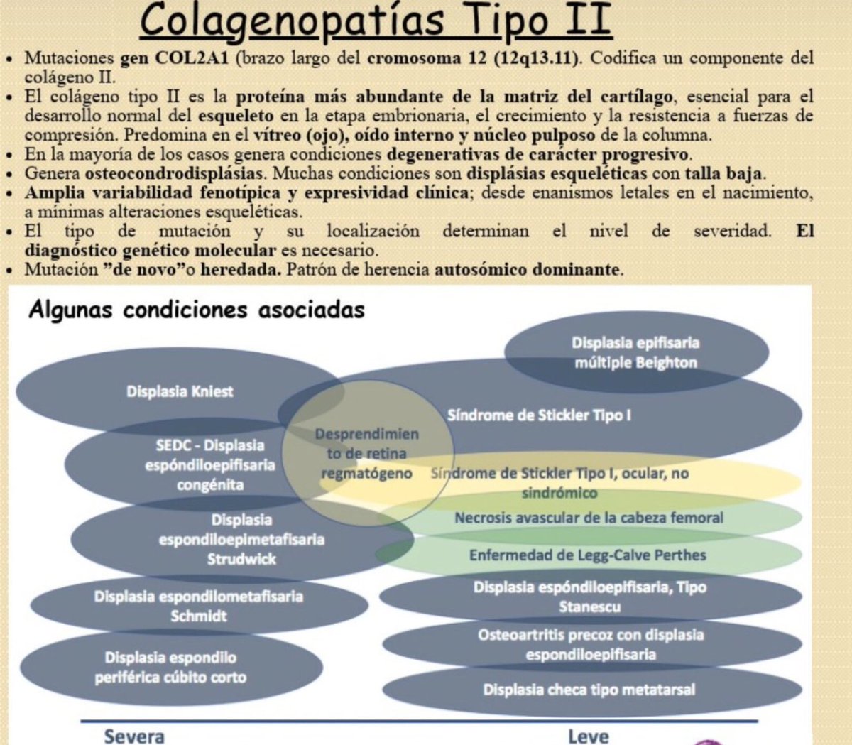 NoInvisibles's tweet photo. Hoy concienciación #ColagenopatíasTipoII
Conocer más y mejor #COL2A1
Diversas condiciones debidas a esta mutación
#Stickler #SEDC #Strudwick #Kniest
#Perthes #Stanescu
Conocer, visibilizar e investigar
Es el camino y la esperanza
Gr. @AFASCOL @FUCOLCH
https://t.co/wJUNai9hZP https://t.co/W4H9LM2rqS