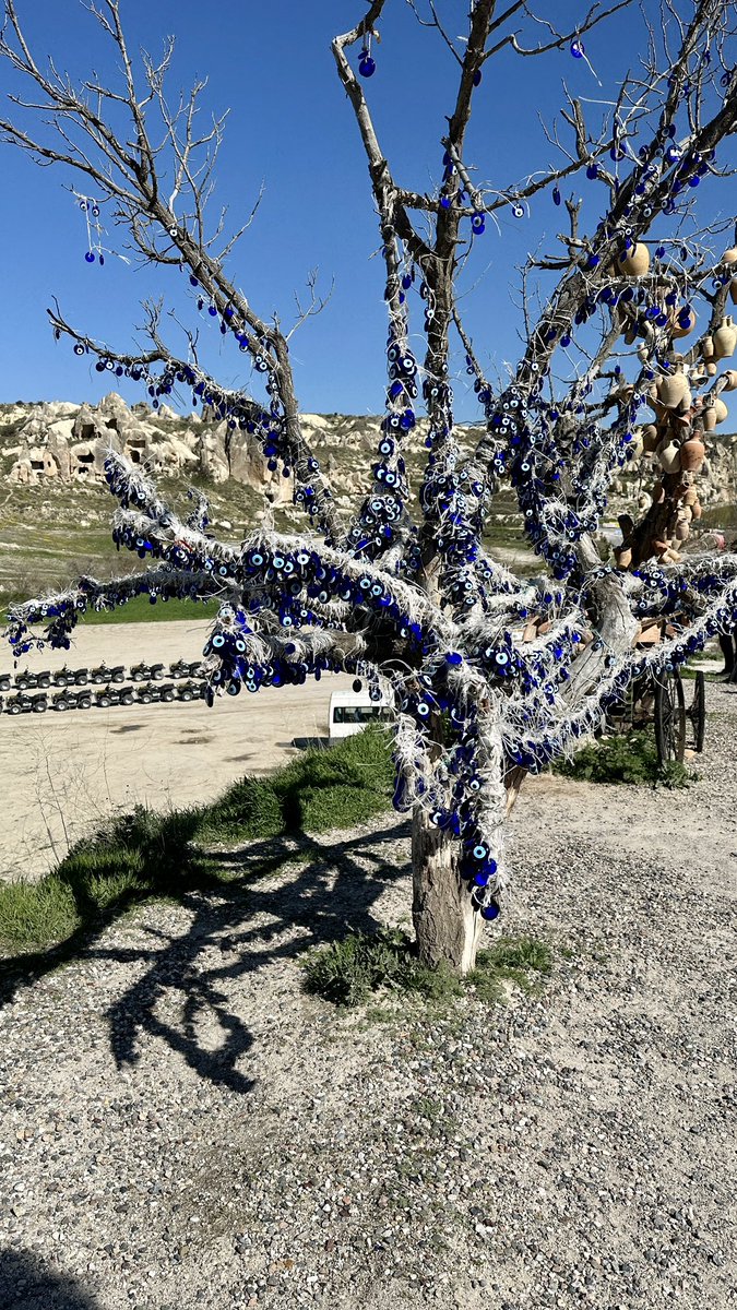 PpChalerm's tweet image. #Evileyes #evileye #goreme #cappadocia #Turkiye #Turkey #tree #blueeyes