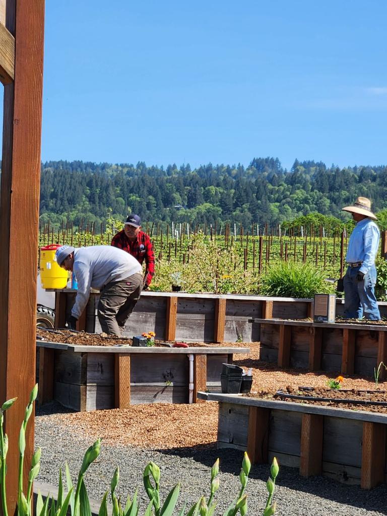 Adelsheim Vineyard tweet media