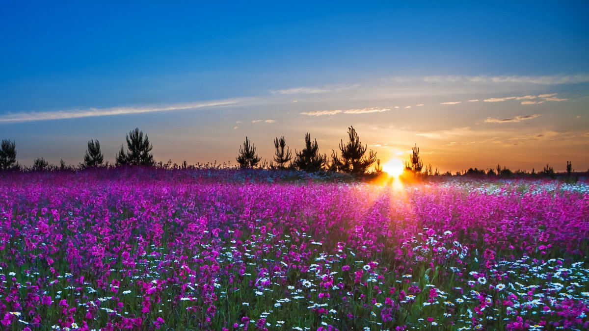 The Weather Channel tweet media