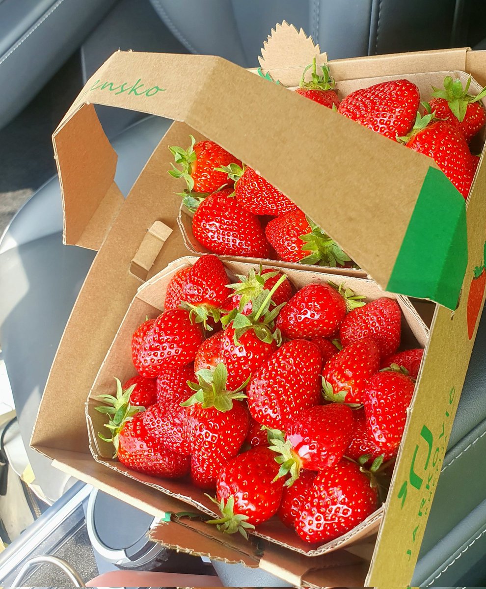 Cosmicstrenght3's tweet photo. Huuuuuugrrrryyy like a ๐บ !!!!
#Tesla and #strawberry
#WorkingSaturdays ๐ฅด
๐๐๐๐๐๐๐๐ https://t.co/oDkDCaM7Hd