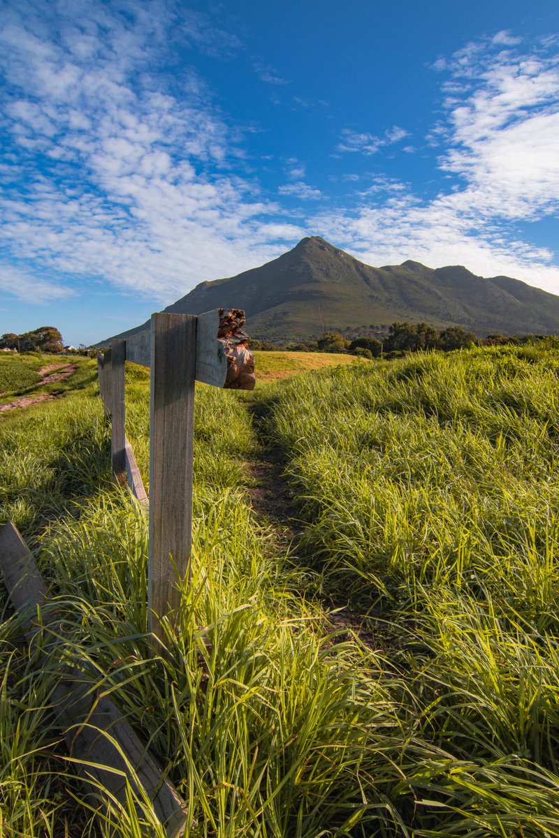 It’s been a little second since I’ve last been around here 🐣 … my beautiful new home’s been keeping me a little busy ⛰️ 

#capetown #chapmanspeak #southafrica