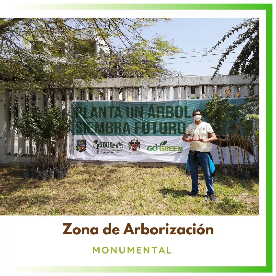 gogreen_peru's tweet photo. Se viene la 3era edición de #PlantaUnArbol #SiembraFuturo alrededor del 🏟

Se plantarán 35 nuevos árboles y  en esta oportunidad serán 3 a 4 metros de altura cada uno.

#GoGreenPeru #AdoptaUnArbol #CarlosJuarez https://t.co/umUoOqB83x