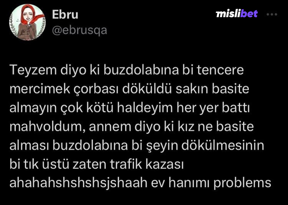 Ev hanımı problems