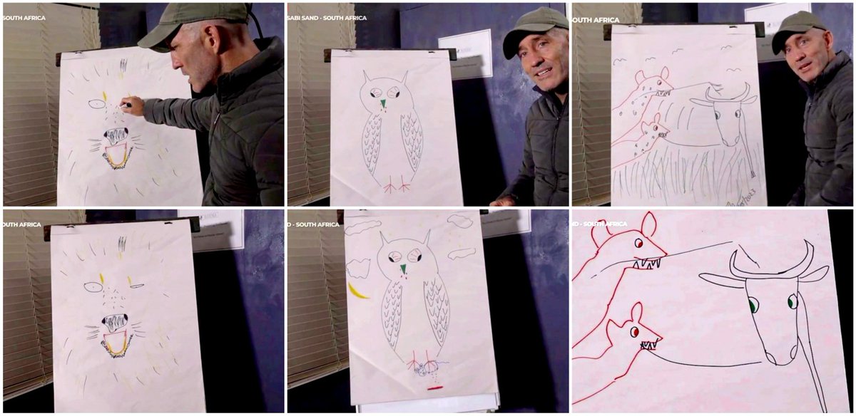 James drawing of a Lion an  Owl  and Hyenas and a Wildebeest   🙂  #wildearth