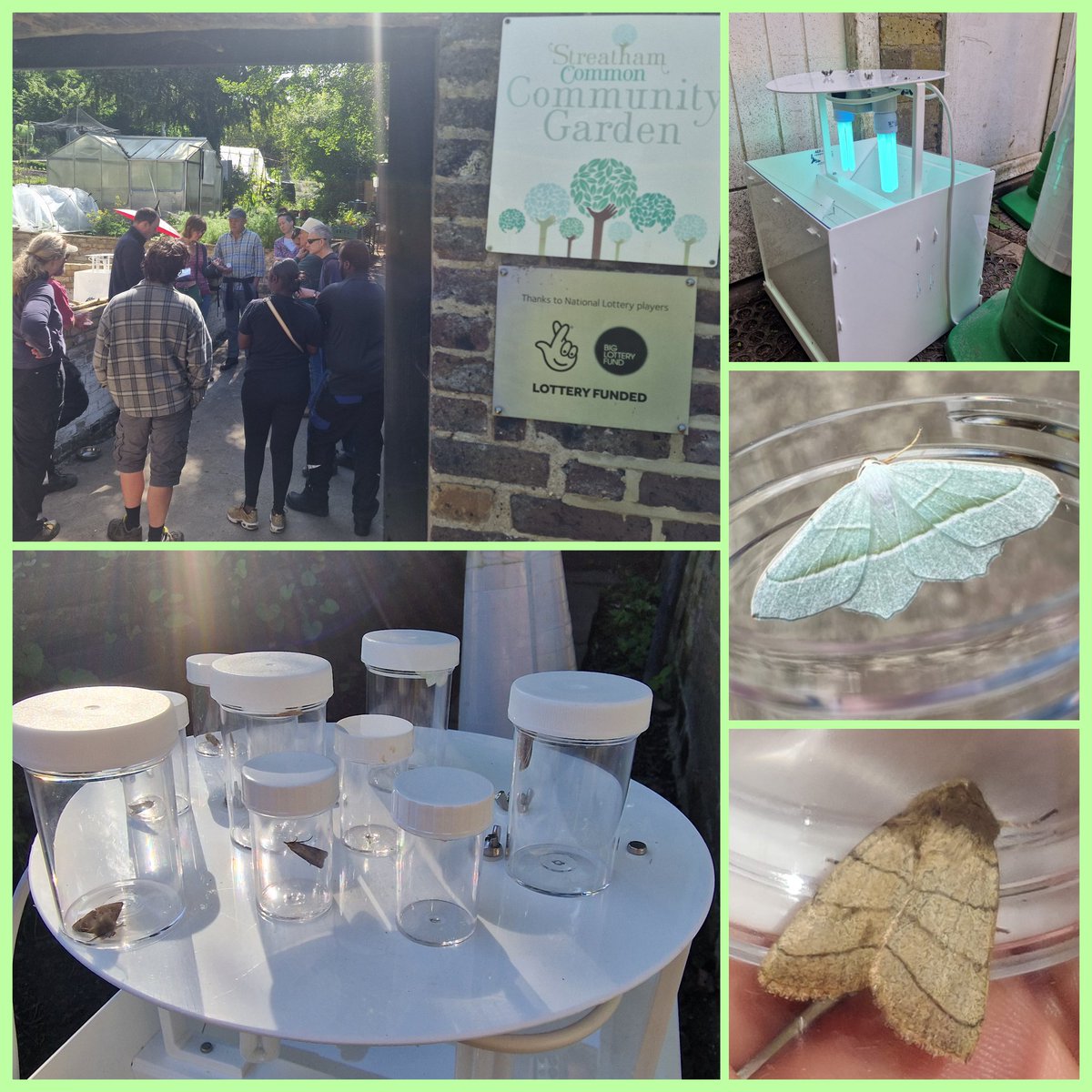 Massive thank you to Moth man, Steve Bolton, from #Butterfly ConservationTrust's #bigcitybutterlies @savebutterflies for an informative Moth Identification workshop at #streathamcommon Rookery ! 
And an even bigger #thankyou for the #Moth Trap kit 🦋