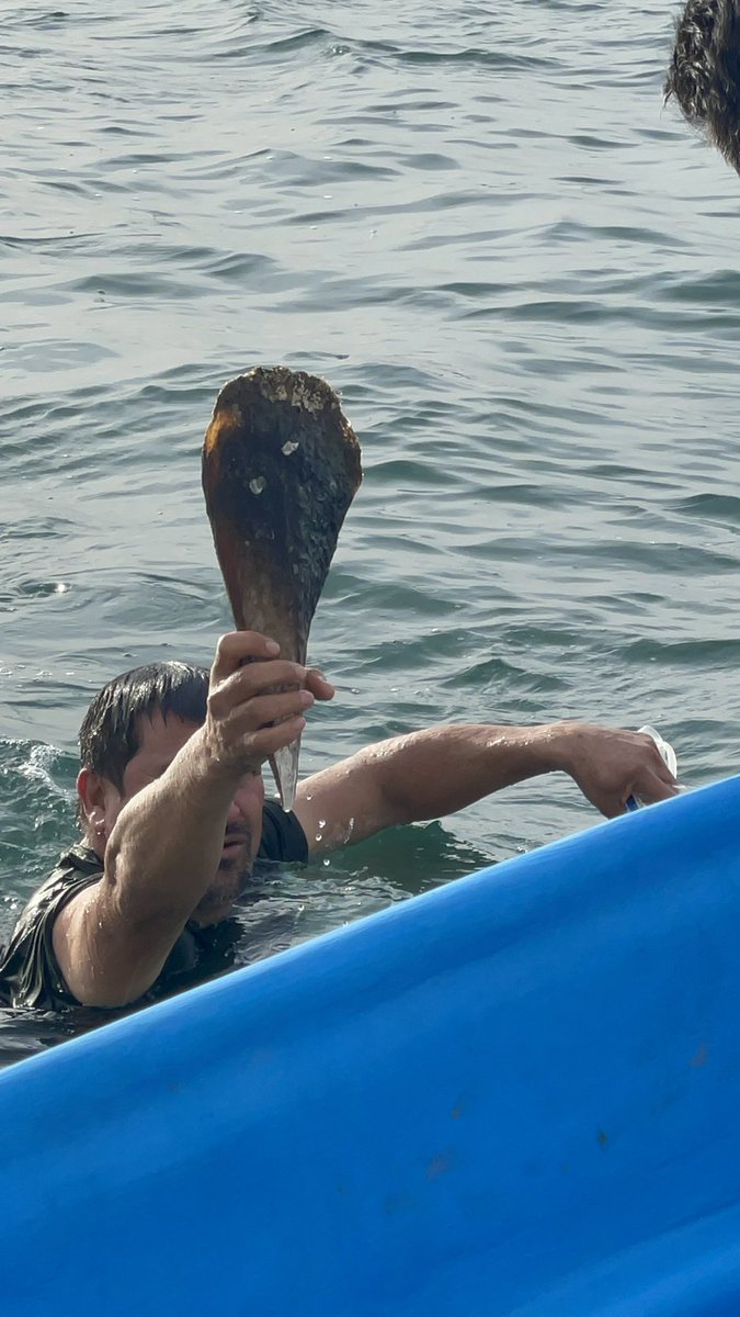celina_dg's tweet photo. Una grata experiencia vivida en el intercambio de experiencia entre cooperativas en el marco de la celebración del 10mo aniversario de @SmartFishAC en La Paz, BCS
#CalloDeHacha #rescatedevalor #pescasostenible https://t.co/0zH6pM7Sq4