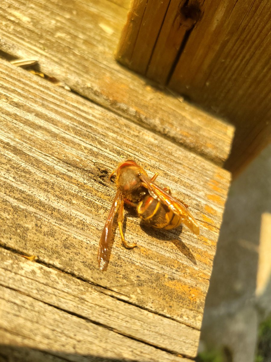 RG | Coach tweet media