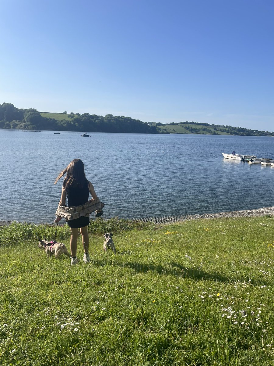 TFrugellis's tweet photo. That is a lottttt of water 🐶🐾 

#frug #frenchie #pug #DogsofTwittter #dogsdayout #eveningwalks https://t.co/5GsWrBUNTS