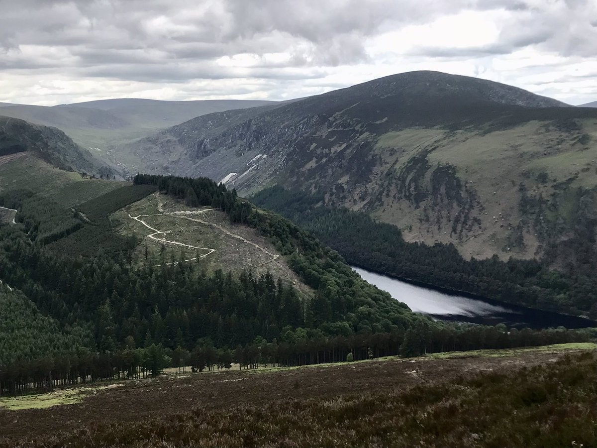 catmck12's tweet photo. Stunning scenery, herds of deer, mountain trails, 20 km hike from Glendalough to #DerrybawnMt #Mullacor #Lugduff #Spinc A day to gladden the soul 🦌⛰@visitwicklow @TheWicklowWay @UpperLakePhoto https://t.co/oyI2vmgtcH