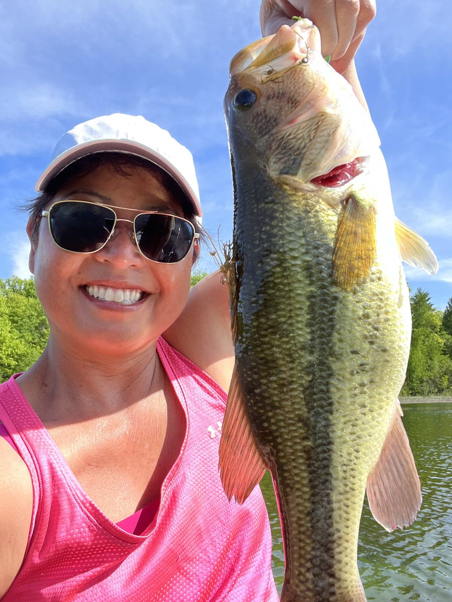 Diane Doersch tweet media