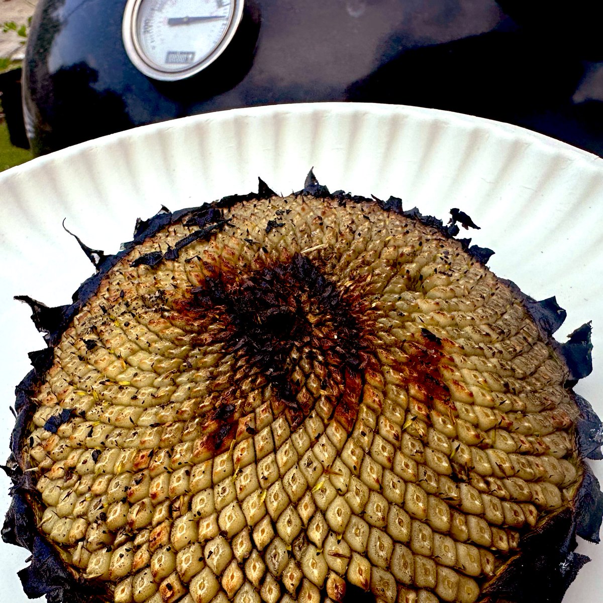 Miya Shay on Twitter: "Grilled a baby sunflower for the first time ...