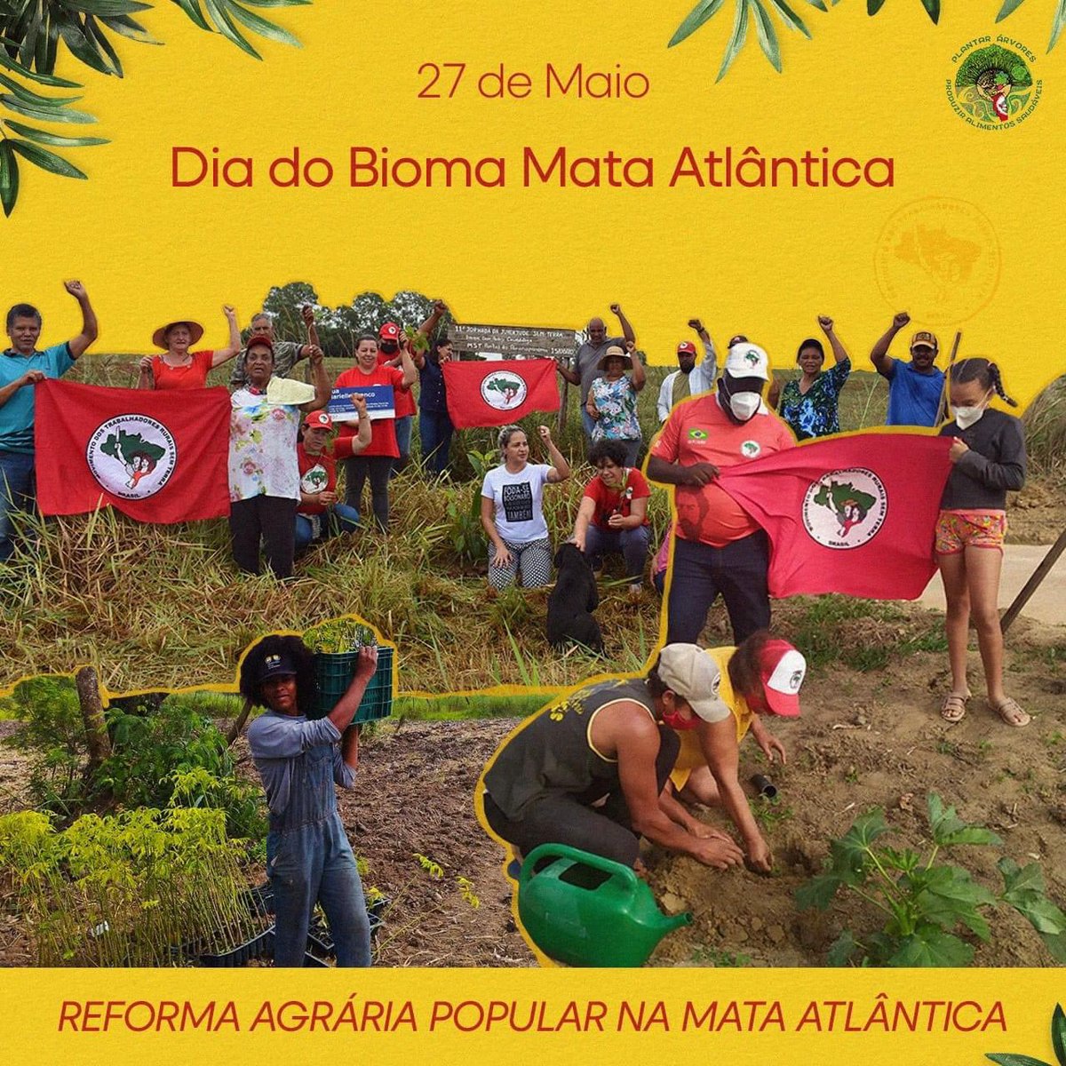rebordosa74's tweet photo. O sonho da terra repartida é construído a muitas mãos. #ToComOMST #DiaNacionalDaMataAtlantica https://t.co/eNwqA2Jp2N