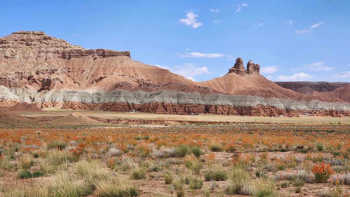 CLSigulinsky tweet media