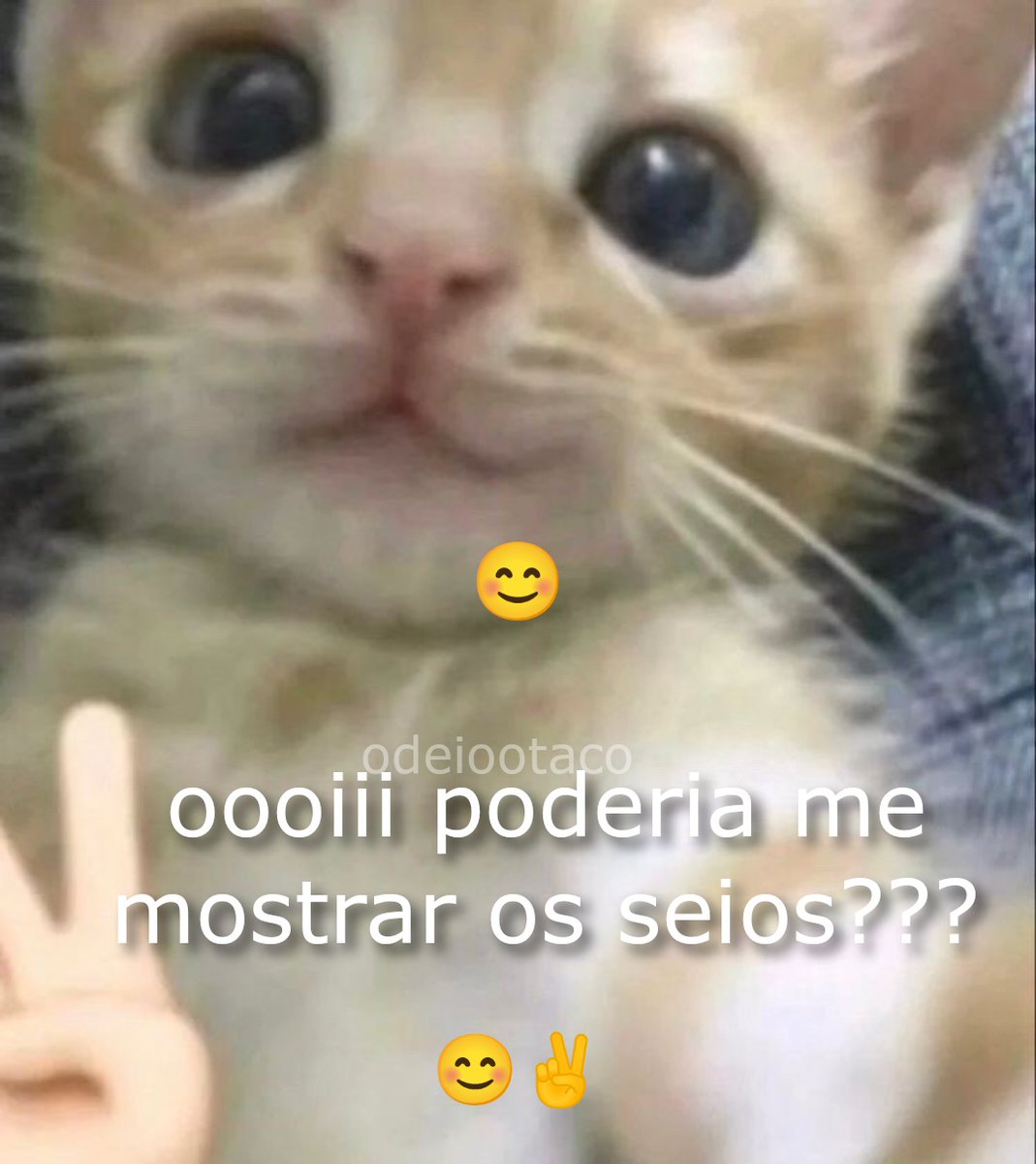 garotas anime esquizo merdapostagem tweet media