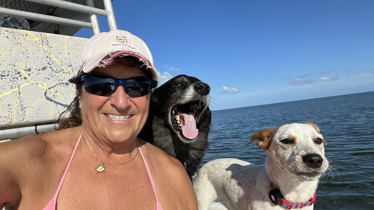 Happy puppers living  their best #keywest life! #kdee #dori