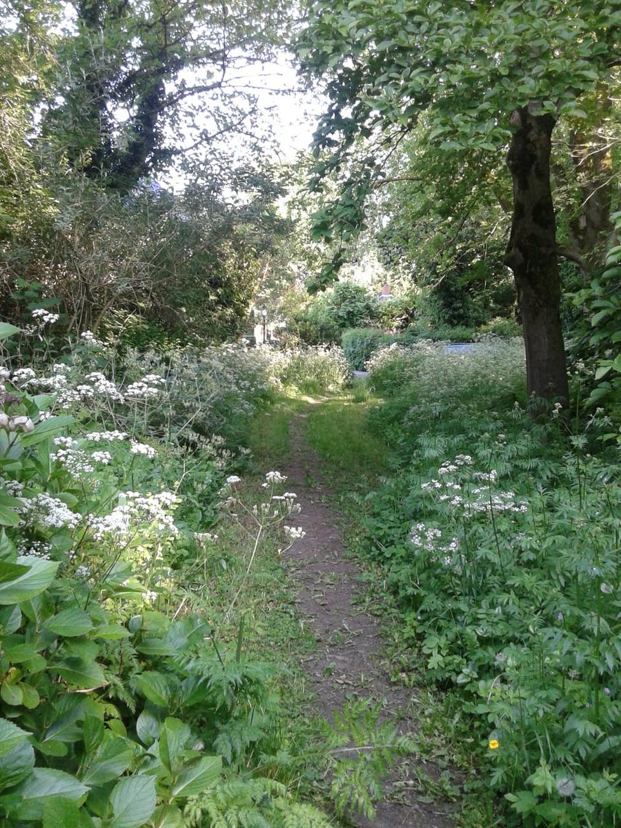 Jenny Valk 🍋🍋 jennyvalk.bsky.social tweet media