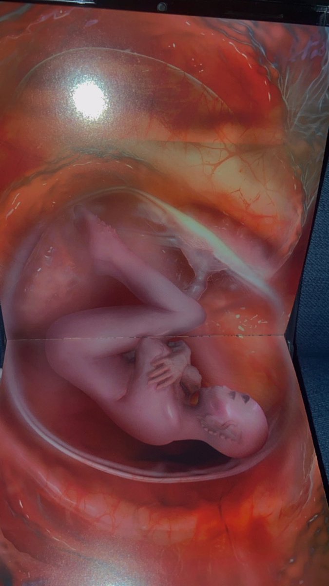 Alo🩸🪓 tweet media