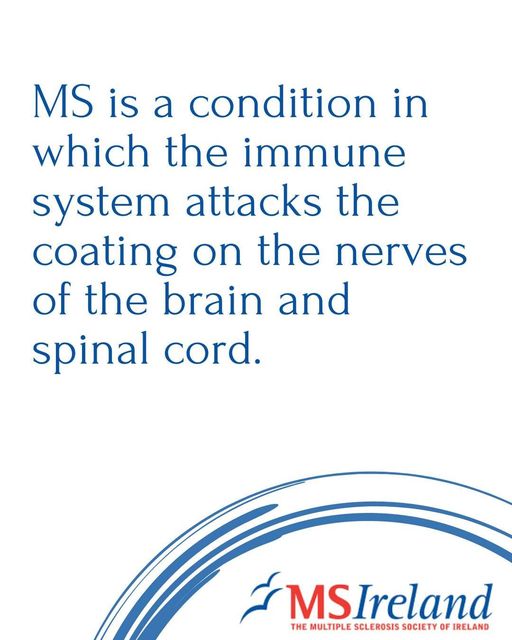 In the lead up to World MS Day🌏we want to share some MS facts to help spread awareness.

What facts about MS do you wish more people knew❓

#MSConnections #IaMSomeone #WorldMSDay #msawareness #MS