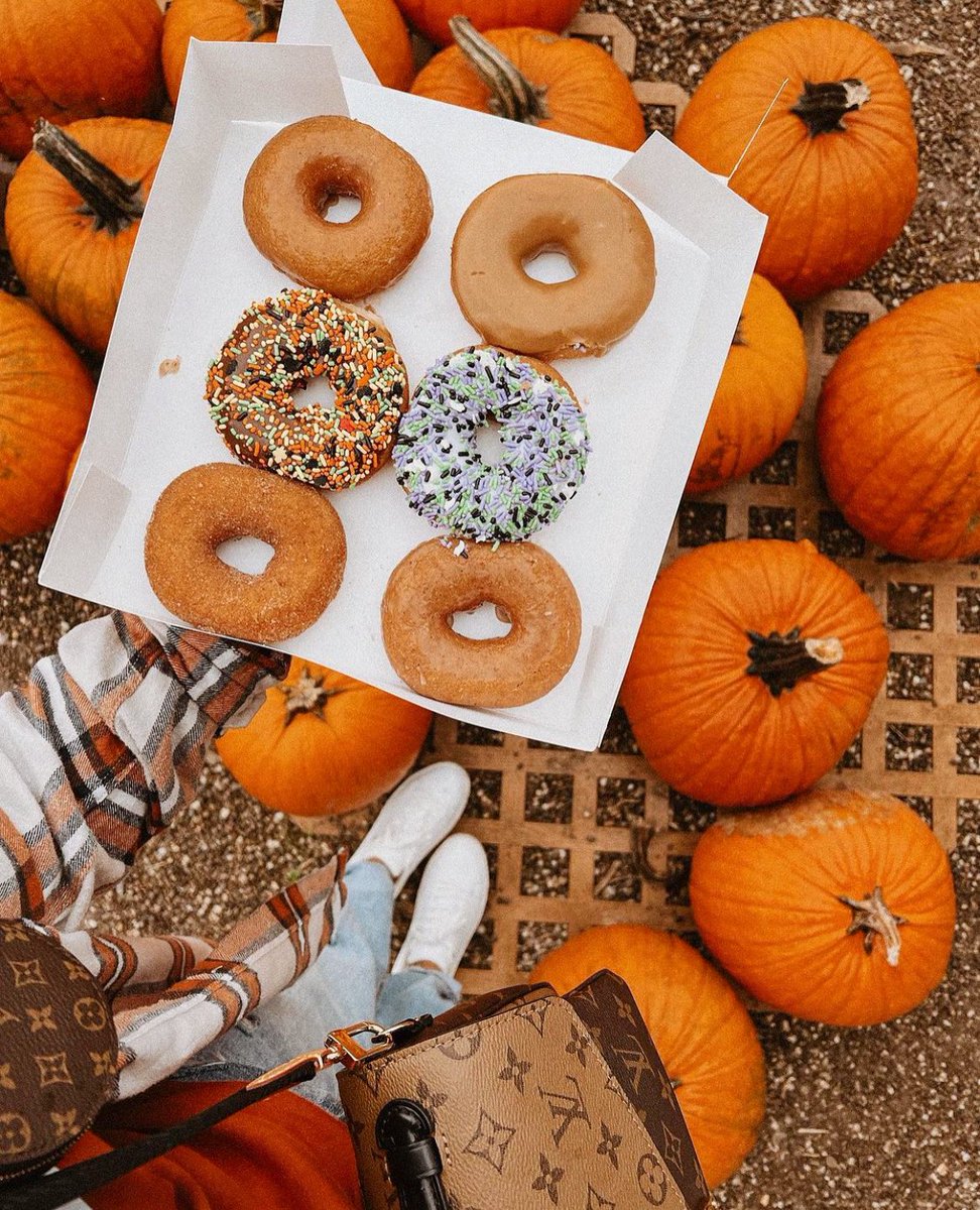 OctobersLeavess's tweet photo. Here’s your spooky serotonin boost for today! 🎃🦇🍂 https://t.co/lTdh7Xngq9