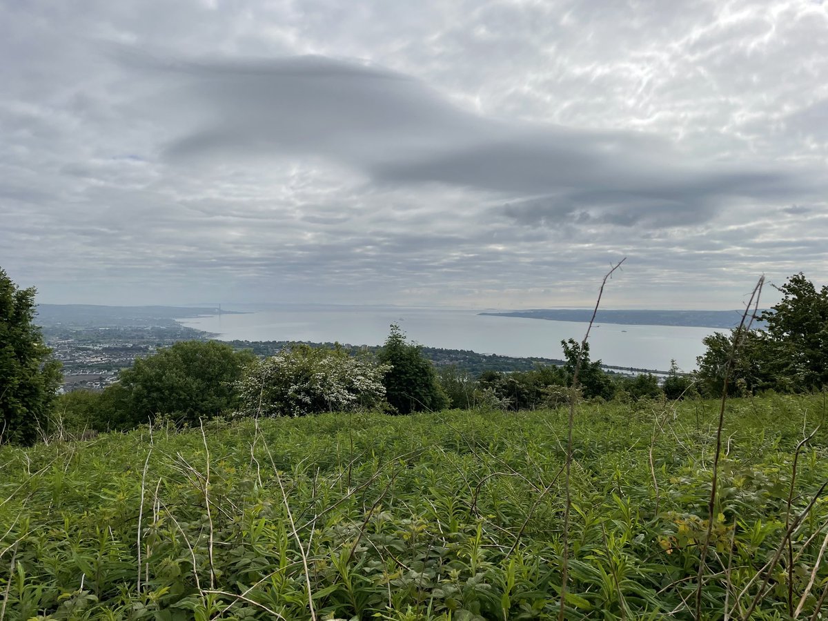 BannonPaul's tweet photo. Beautiful views from #cavehill this morning #scotland and #isleofman clearly visible. Within an hour a slight mist restricted the vision. #belfast #belfastlough https://t.co/VXUEuTnwbM
