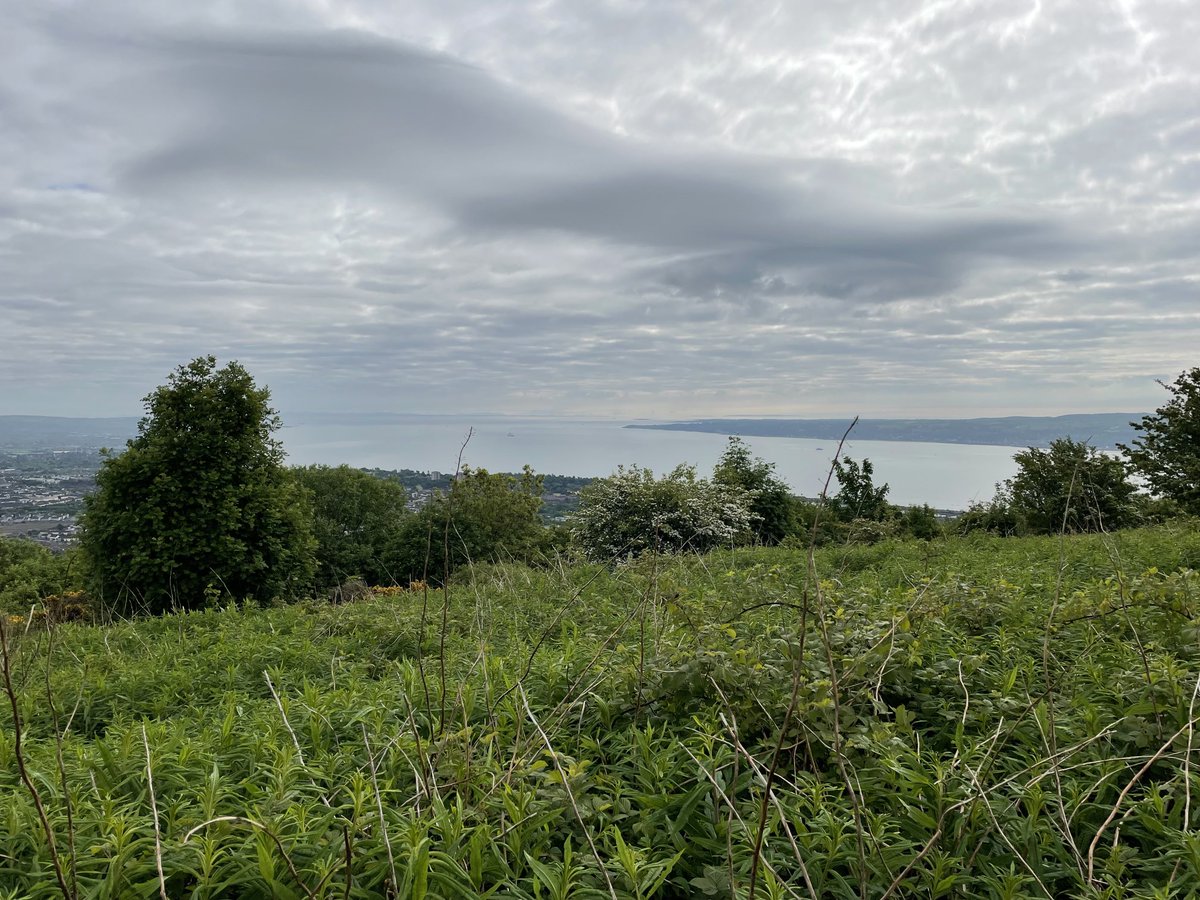 BannonPaul's tweet photo. Beautiful views from #cavehill this morning #scotland and #isleofman clearly visible. Within an hour a slight mist restricted the vision. #belfast #belfastlough https://t.co/VXUEuTnwbM