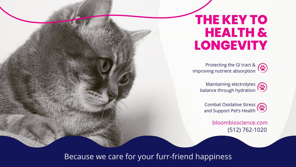 bloom4pets's tweet photo. Maximize your pet's health and longevity!🐾✨ Protect their GI tract for optimal nutrient absorption.
Keep them hydrated to maintain electrolyte balance.
Combat oxidative stress for a healthier pet. Give your furry friend the care they deserve.🐶😺
#PetHealth #Longevity #GIHealth https://t.co/O2pd45d14G