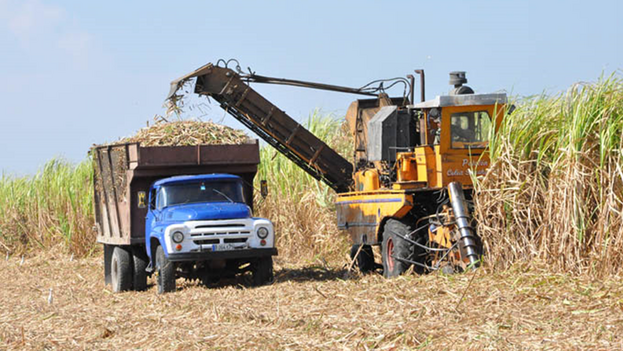 14ymedio's tweet photo. Con una #zafra prevista de apenas 350.000 toneladas, #Cuba deberá importar azúcar https://t.co/MXCV7iTPBy

👉La producción nacional cae casi al nivel alcanzado en plena guerra por la independencia, en 1898 #SiVivesEnCuba👉 https://t.co/SH3NetXan1 https://t.co/O94TCdCOzx