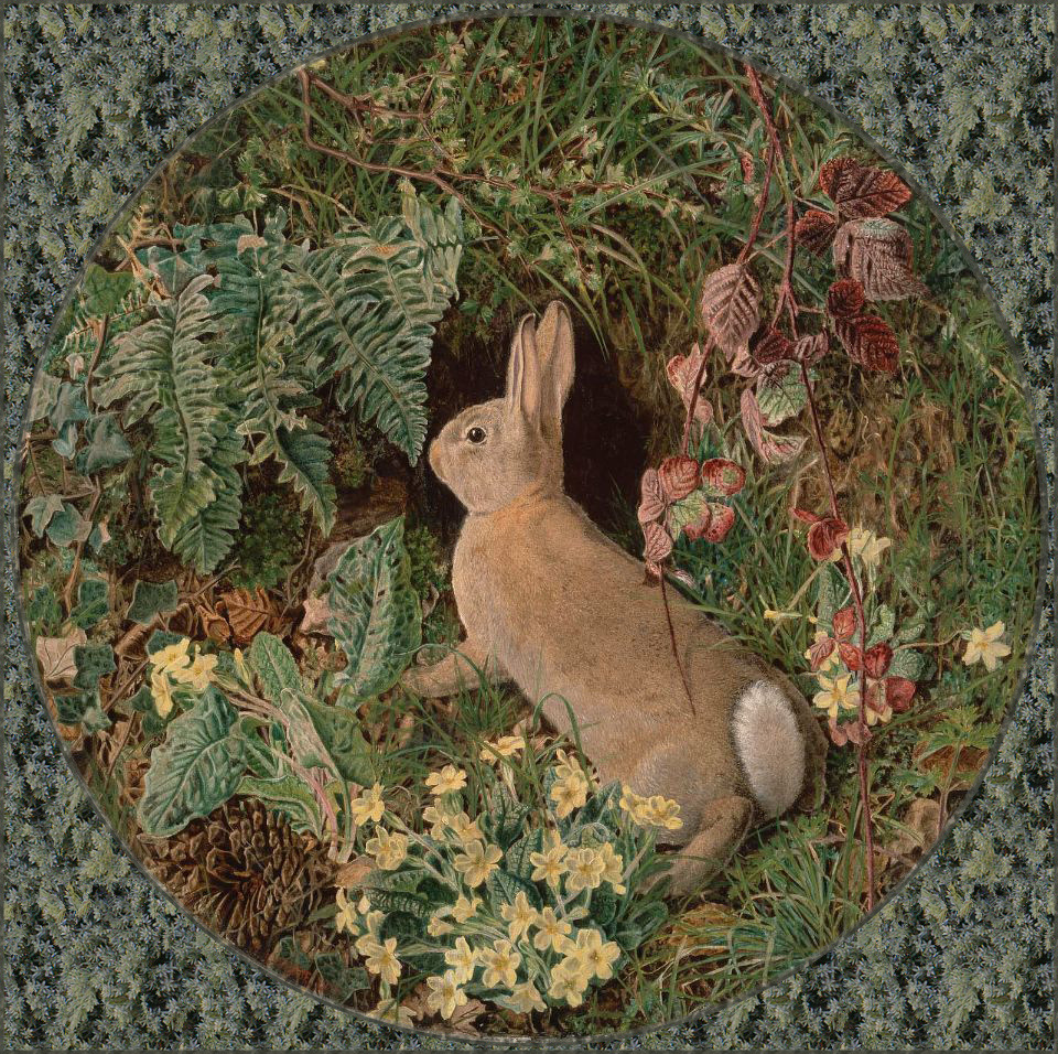 William James Webbe ‘Rabbit amid Ferns and Flowering Plants’ 1855.