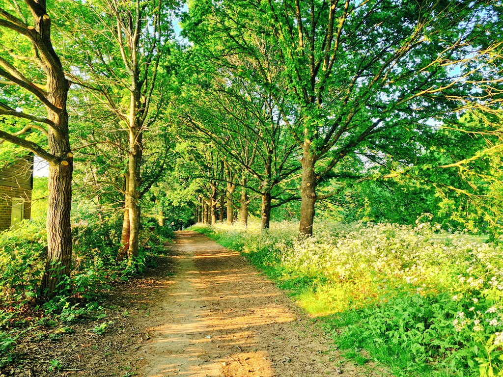 Horsham is unbeatable at this time of year