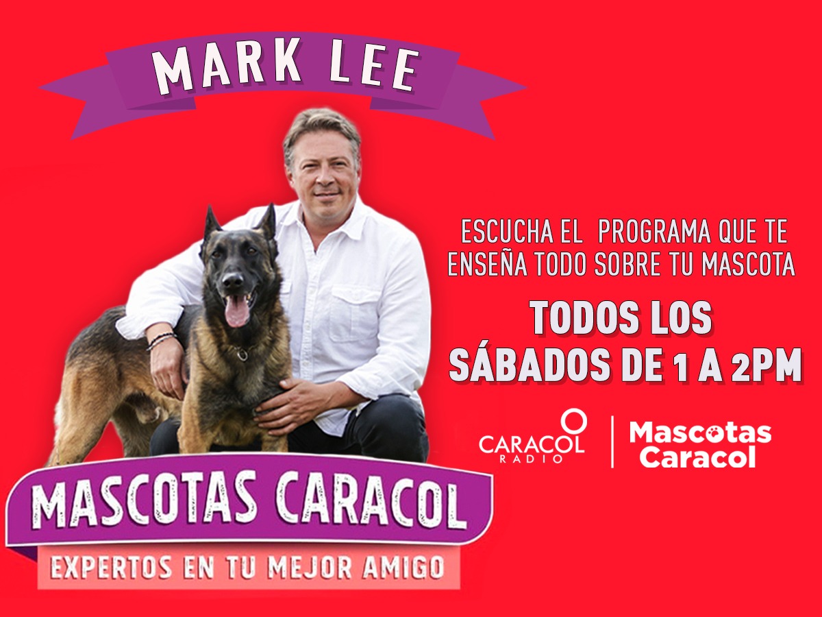 Gracias por acompañarnos en nuestro ultimo programa. 🐾

¡LOS QUEREMOS Y LES AGRADECEMOS TANTAS TARDES DE BIENESTAR ANIMAL! 

La próxima semana los esperamos a la 1 de la tarde en  las redes sociales oficiales de: <a href="/MarkLeeOficial/">Mark Lee</a>.