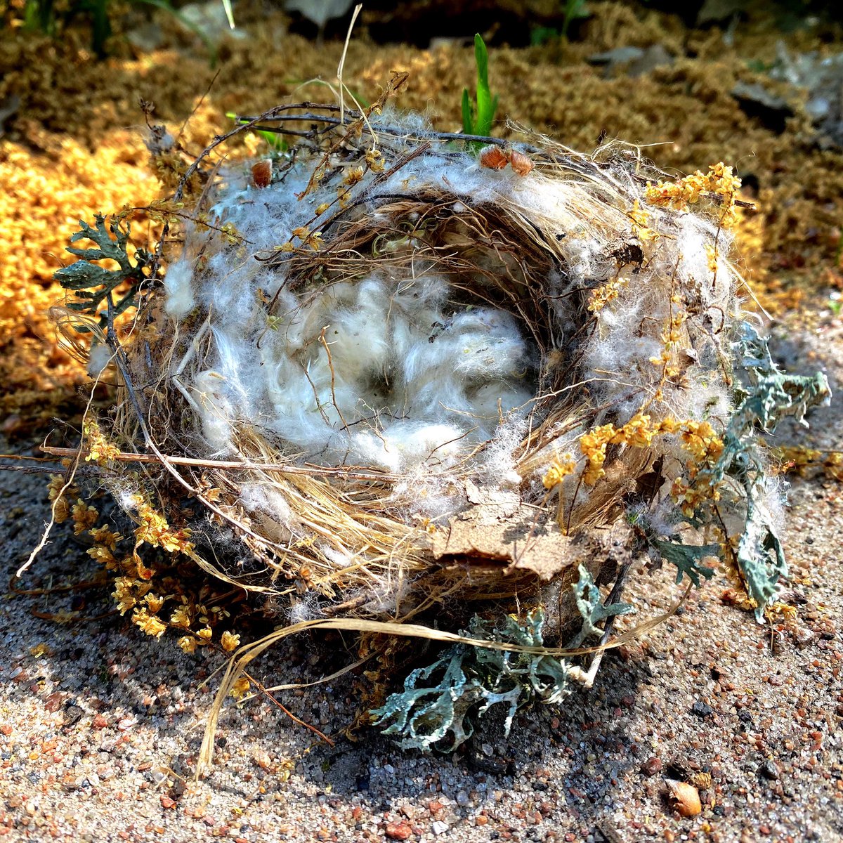 vzdulska (@vzdulska) on Twitter photo 