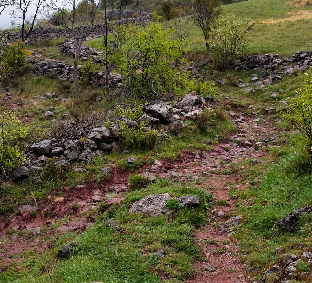 "Quins camins són públics? Els camins rals, els veïnals, els que segueixen el jaç d'un riu o riera, o canal públic, i els que van a una església, cementiri o a una font pública, són camins públics". Costums sobre termenals, camins i aigües (Mancomunitat de Catalunya, 1921).