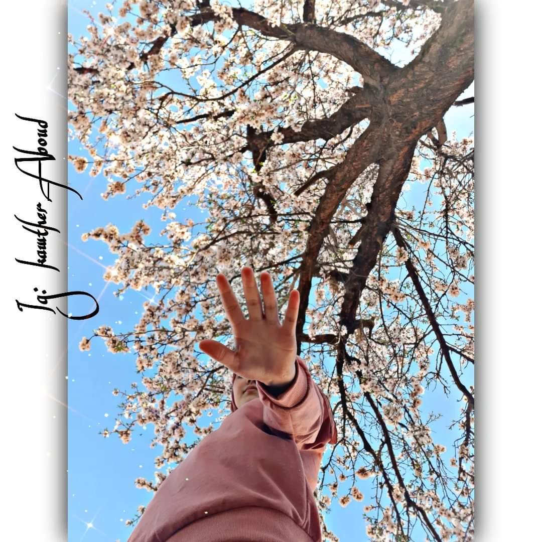 ❤️‍🔥🌺

#TikTok #Trending #Like #love #kawther_aboud #FYP #news #Turkey #Kancicekleri